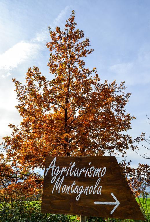 Agriturismo Montagnola Abruzzo Villa Casalanguida Exteriör bild
